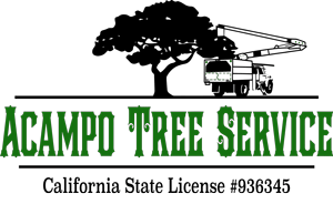 Acampo Tree Service