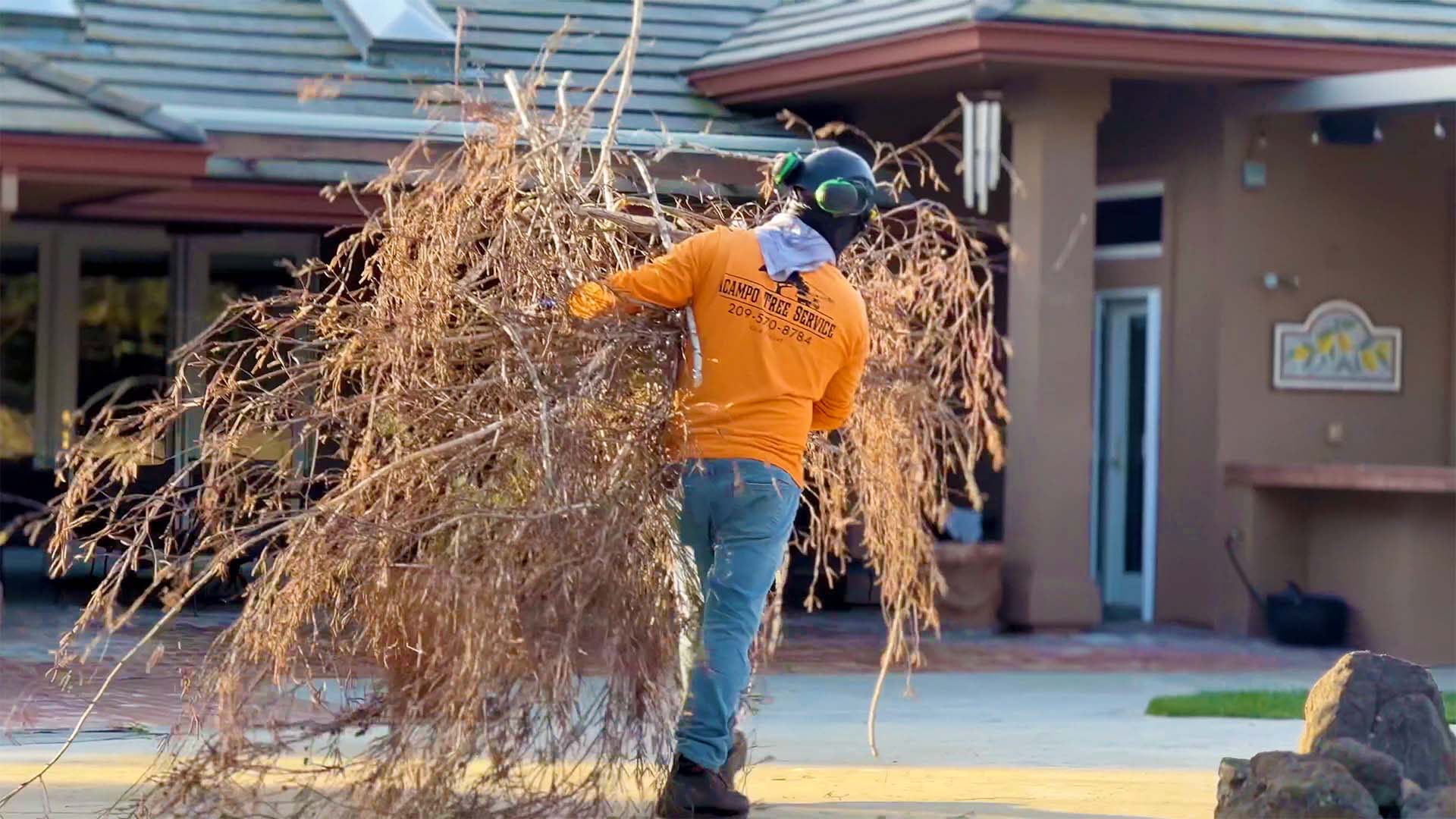 Acampo Tree Service Managing Trees in Lodi, California