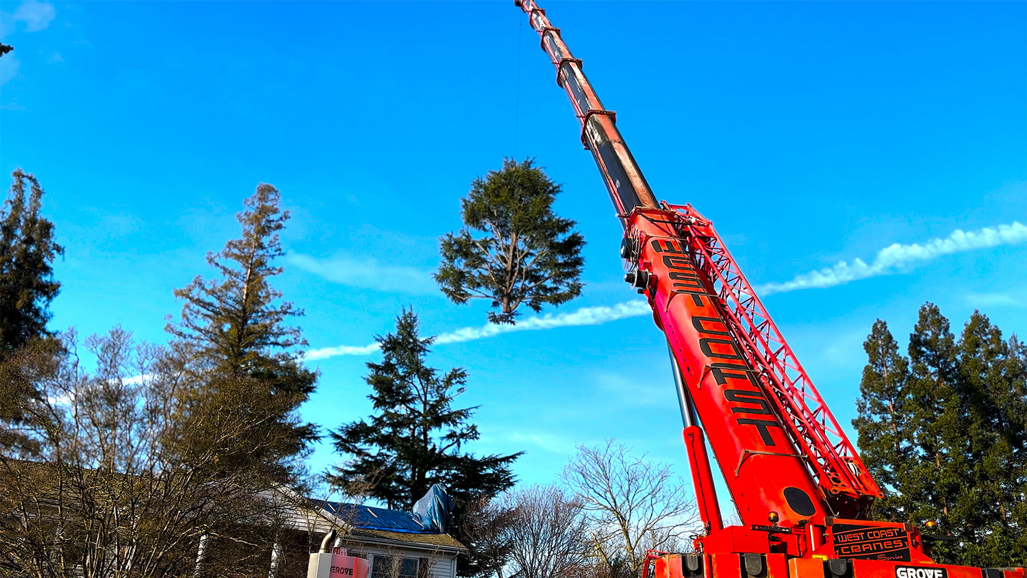 West Coast Crane hoists treetop